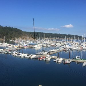 Friday Harbor