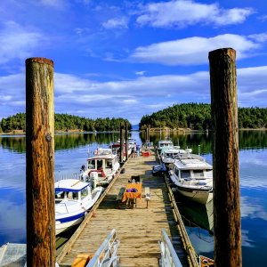 Taking over the dock
