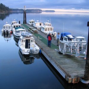 The C-Dory Armada