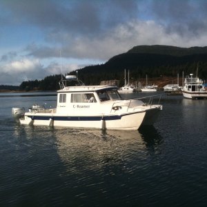 Auke Bay harbor