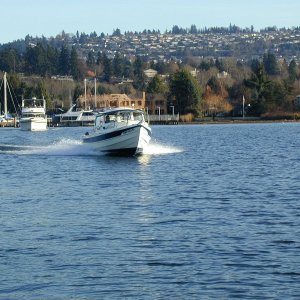 Heading out of Newport Yacht Basin