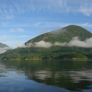 Alberni Inlet scene