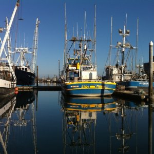 Westport Fleet 1