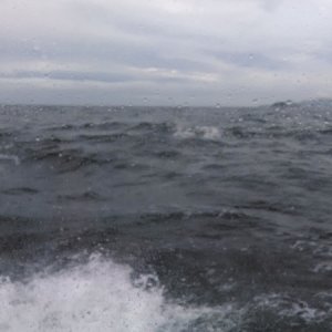 59 Rough seas, a white knuckle day.