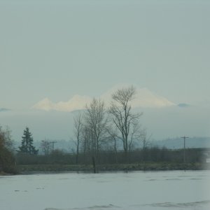 Mt. Baker was "out"