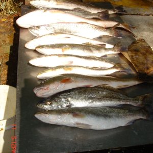 salt water fun 004