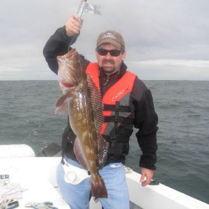La Push Lingcod