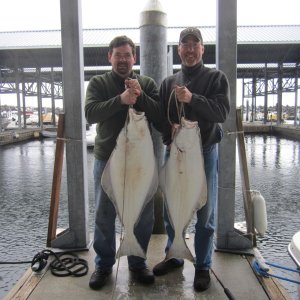 Halibut 2012- Strait
