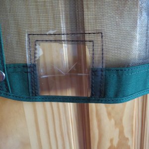 Close-up Front Window Screen