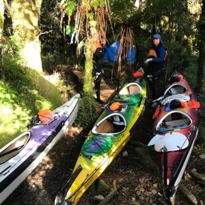 We moved them into the bush to avoid the tides.