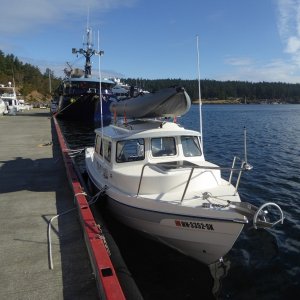 Customs dock at Friday Harbor on Sunday morning