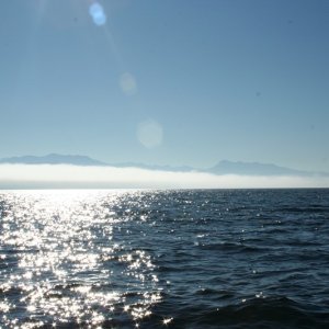 Looking west from Protection Island towards Sequim Bay