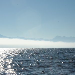 Sequim Bay 06 011