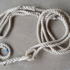 Bridle with "Y" connection and tail
