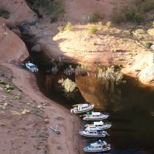 far to near HunkyDory, Coyote, Two Bears, Bossa Nova, Nauti-Gal, Gypsy River at Oak Canyon