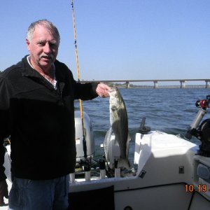 Caught small Striper