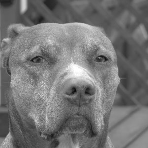 Niko 8/20/2010