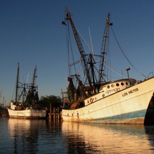 Shrimpers at sunset