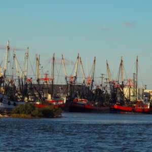 Shrimp boats