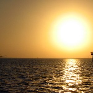 Same shrimper, same sunset