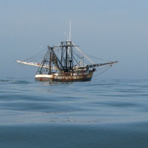 Shrimper in the Gulf