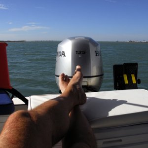 How I spent most of my day