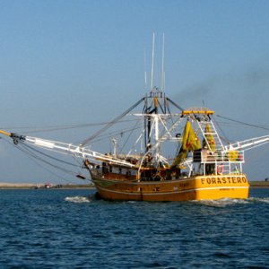 Yellow shrimpboat against the blue water and sky