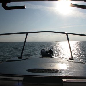 Into the lowering sun