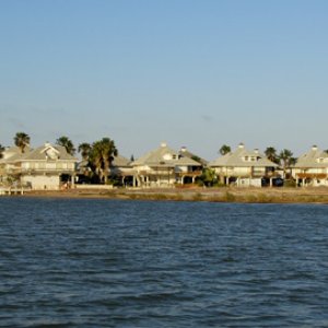 coming back to Long Island