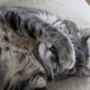 Molly - I don't want to go