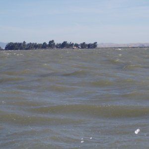 Wheeler Island Duck Club on the way back to Rio Vista up the Delta River.