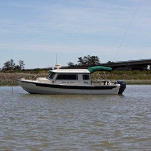 Rio Vista 035a, Lunch time at the mouth of the Petaluma River
