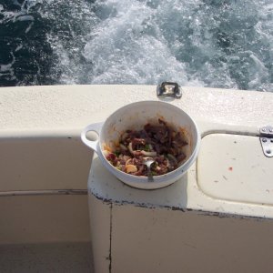 Ceviche!!