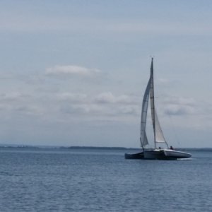 Someone's sailboat....they are really moving along too!