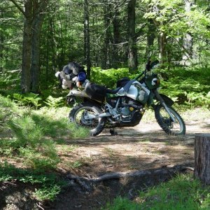 2001 Kawasaki KLR 650 #5