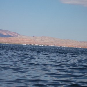 Looking across Bullfrog Bay at Bull frog Marina in the distance.