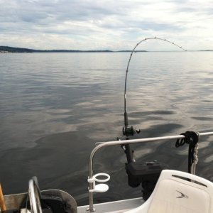 Fishing Setup