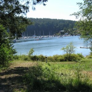 Deer Harbor #2