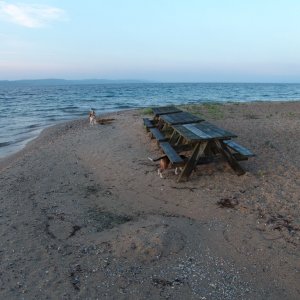 Winds are just starting to pick up. 10-20 mph by noon.