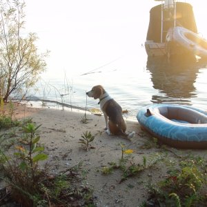 Waiting for the food that's still on the boat.