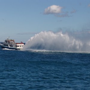 I've never been on any of these ferry boats but, I've watched them many times and man they have holeshot for thier size.