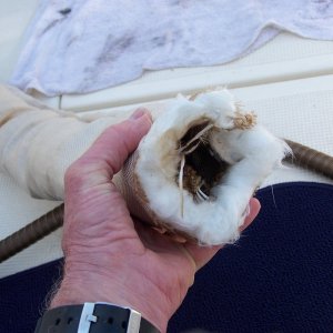 (Bob Cat) great insulation, wrong result