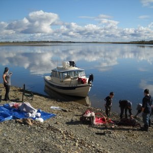 Beautiful day on the Kobuk River!