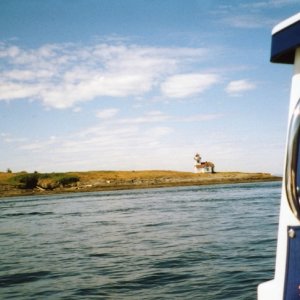 23 May 2004
Patos Island Lighthouse