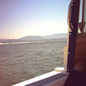 19 June 2004 Somewhere between Bellingham and Anacortes.