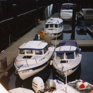 28 Aug 2004 Langley, WA 
R-MATEY & BAMBINA
SENSEI in the background.