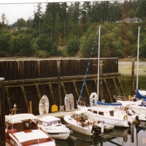 28 Aug 2004 Langley, WA 
   Lots of C-Dorys