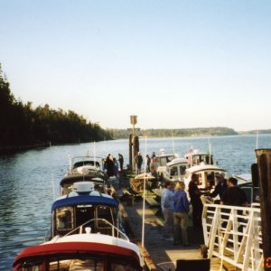 2 Oct 2004 Sequim  
 Lots of C-Dorys