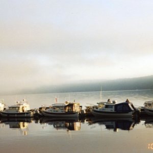 3 Oct 2004 Sequim
C-Dorys early Sunday morning