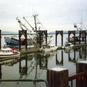 6 Nov 2004 
   Docked at Everett 
 ANNA LEIGH, ANITA MARIE 
       & R-MATEY